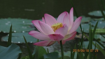 170139