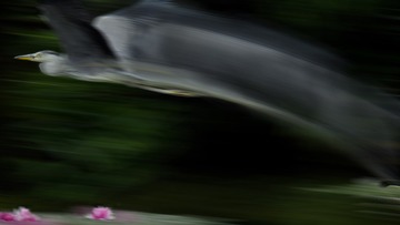 1529019