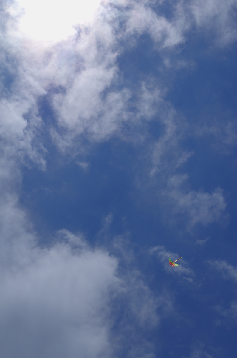 5116242.jpg