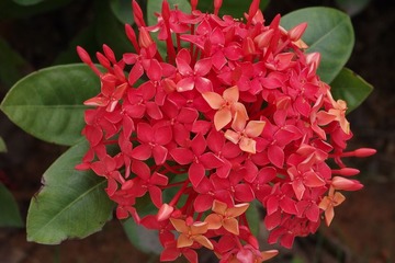 IMGP1243.JPG