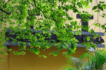 IMGP1416.JPG