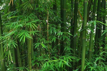 IMGP2560.JPG