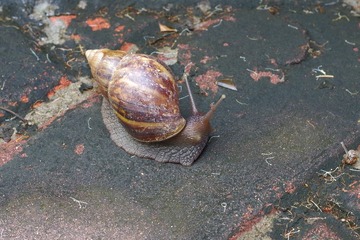 IMGP2639.JPG