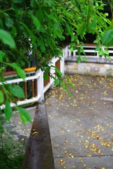 IMGP2643.JPG