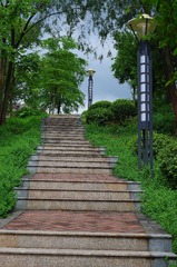 IMGP2645.JPG