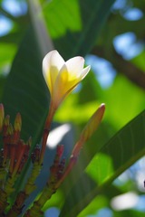 IMGP2722.JPG