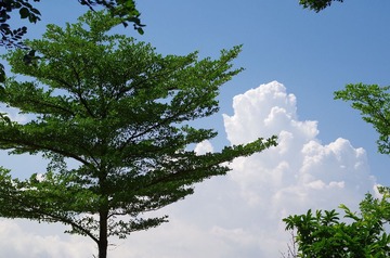 IMGP2709.JPG