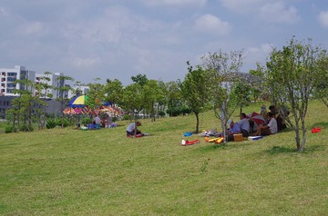 IMGP2730.JPG