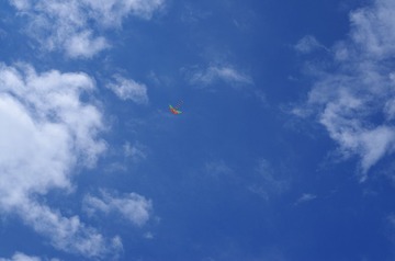 IMGP2889.JPG