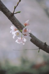 76B4A96F-C39C-4B57-94D0-D22BCBC0A1B9/L0/001