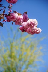 DSC04123.JPG