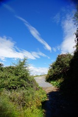 DSC03369.JPG