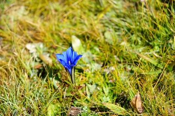 DSC03403.JPG