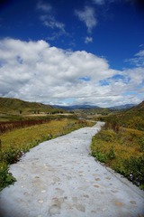 DSC03410.JPG