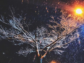夜华