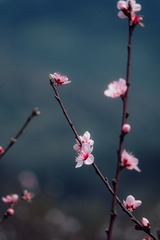 1075740