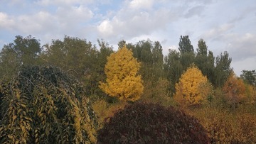 3675799