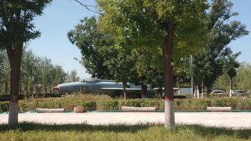 2669617