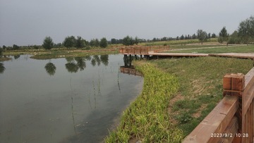 3674511