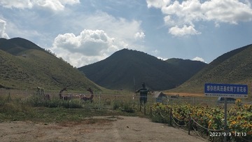 3675130