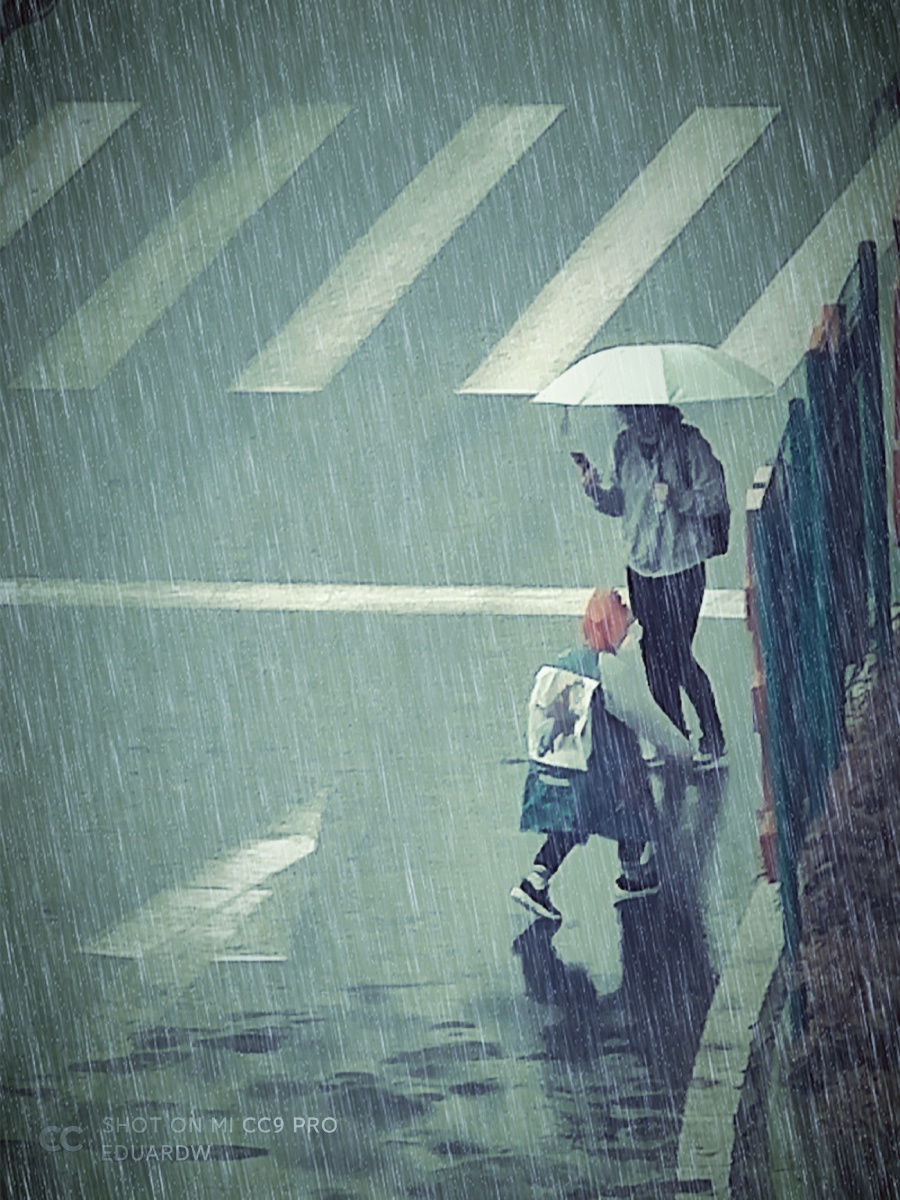 黄昏飘雨