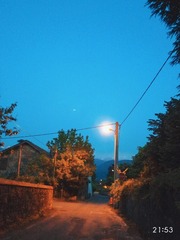1000072603