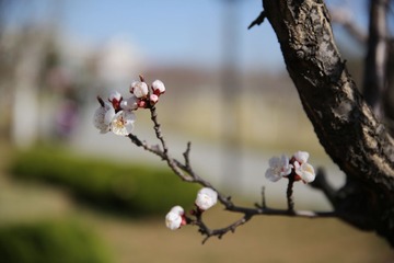 a21134238_01000.jpg