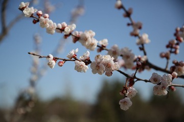 a21134241_01000.jpg