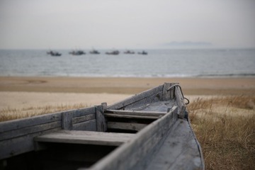 456A0329.JPG