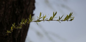 456A0216副本.jpg