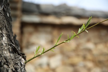 456A0214.JPG