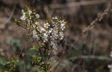 456A0538.JPG