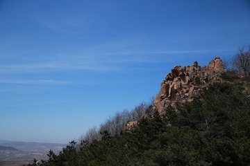 456A0492.JPG