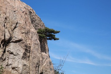 456A0533.JPG