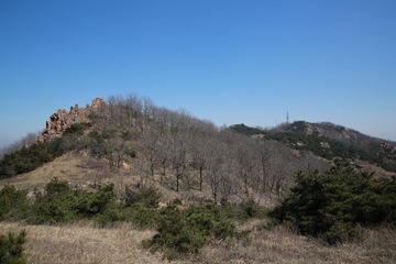 456A0410.JPG