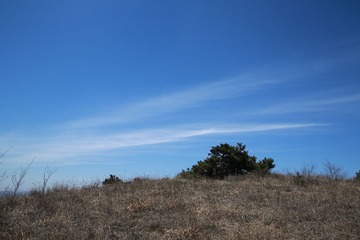 456A0512.JPG