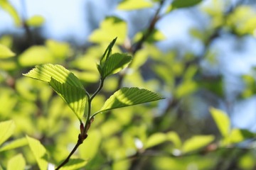 456A0718.jpg