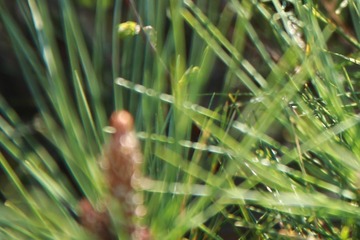 456A07365.jpg