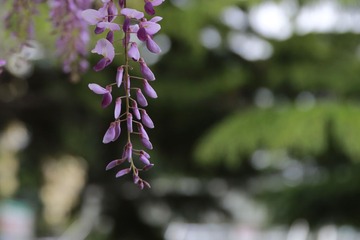 456A0850.jpg