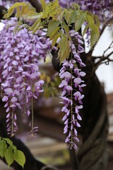 456A0828.jpg