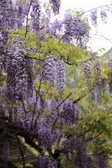 456A0834.jpg