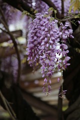 456A0843.jpg
