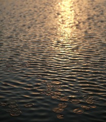 456A0920.jpg
