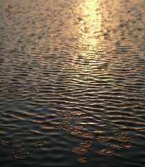 456A0920.jpg