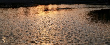 456A0927.jpg
