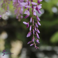 456A0850.jpg