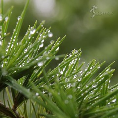 456A1003.jpg