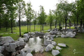 456A1060.jpg
