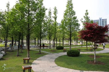 456A1061.jpg