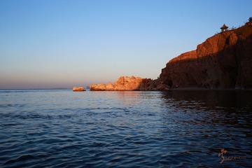 456A1180.jpg